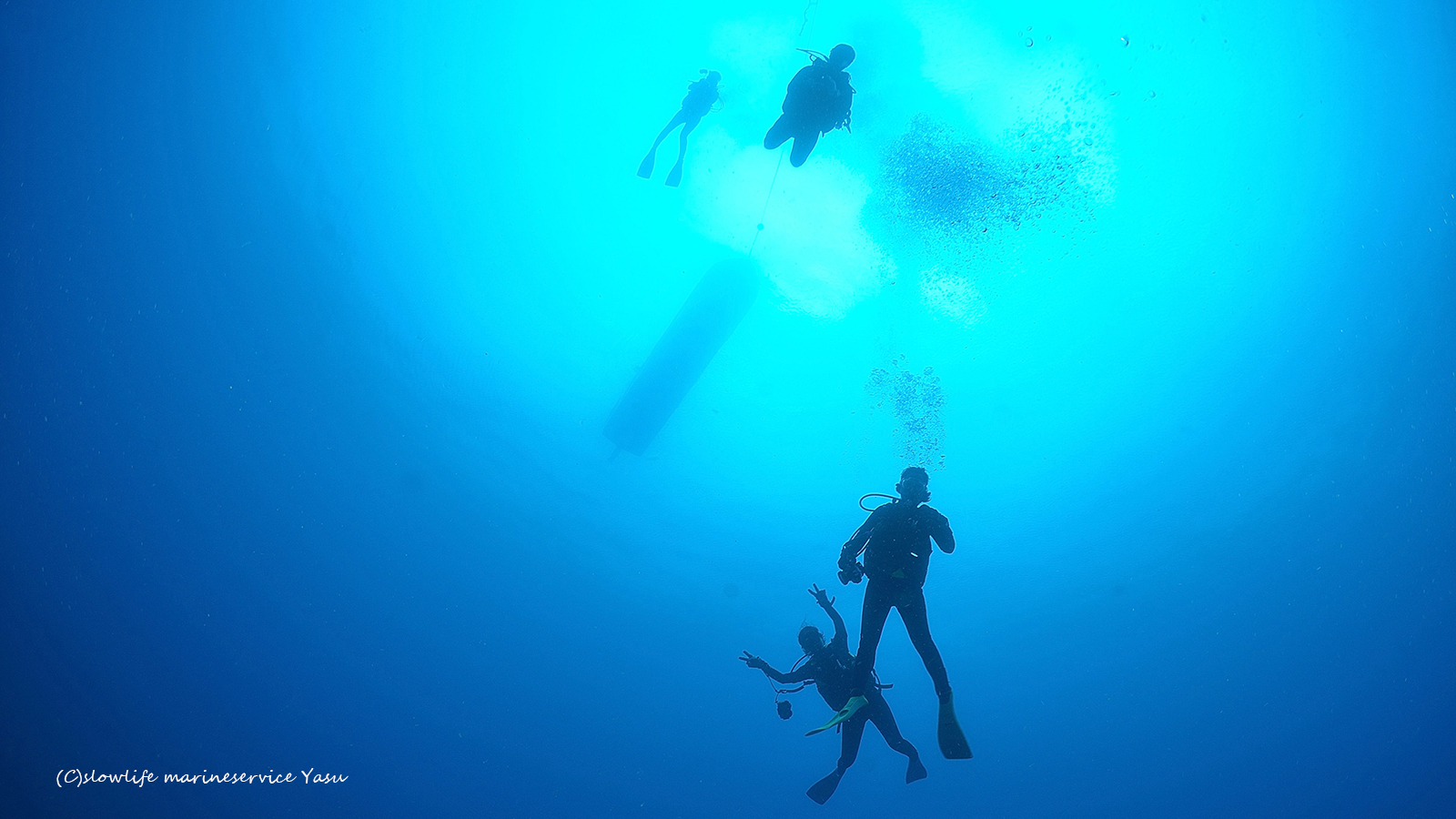 透明度抜群の沖縄の海でダイビング＠恩納村・北部遠征